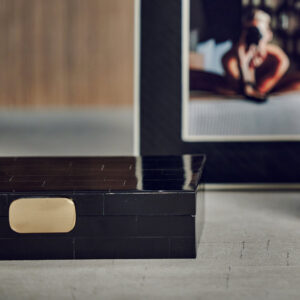 Black Bone Storage Box with Brass Knob