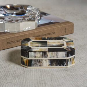 Black Horn Storage Box with Ivory Trim